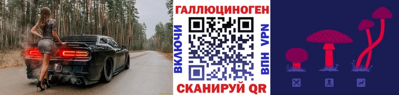 Галлюциногенные грибы прущие грибы  Медынь 
